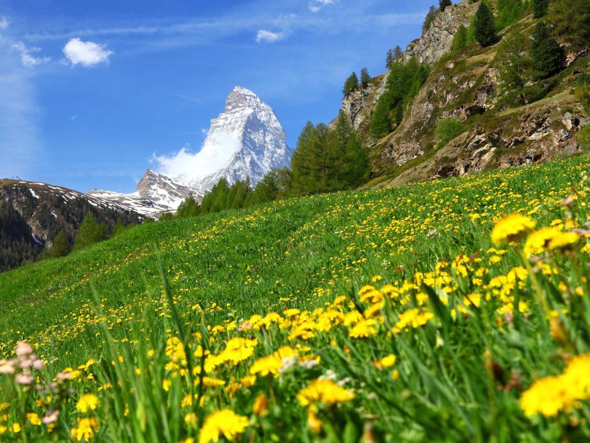 Apartment Alba By Interhome Zermatt Exteriér fotografie