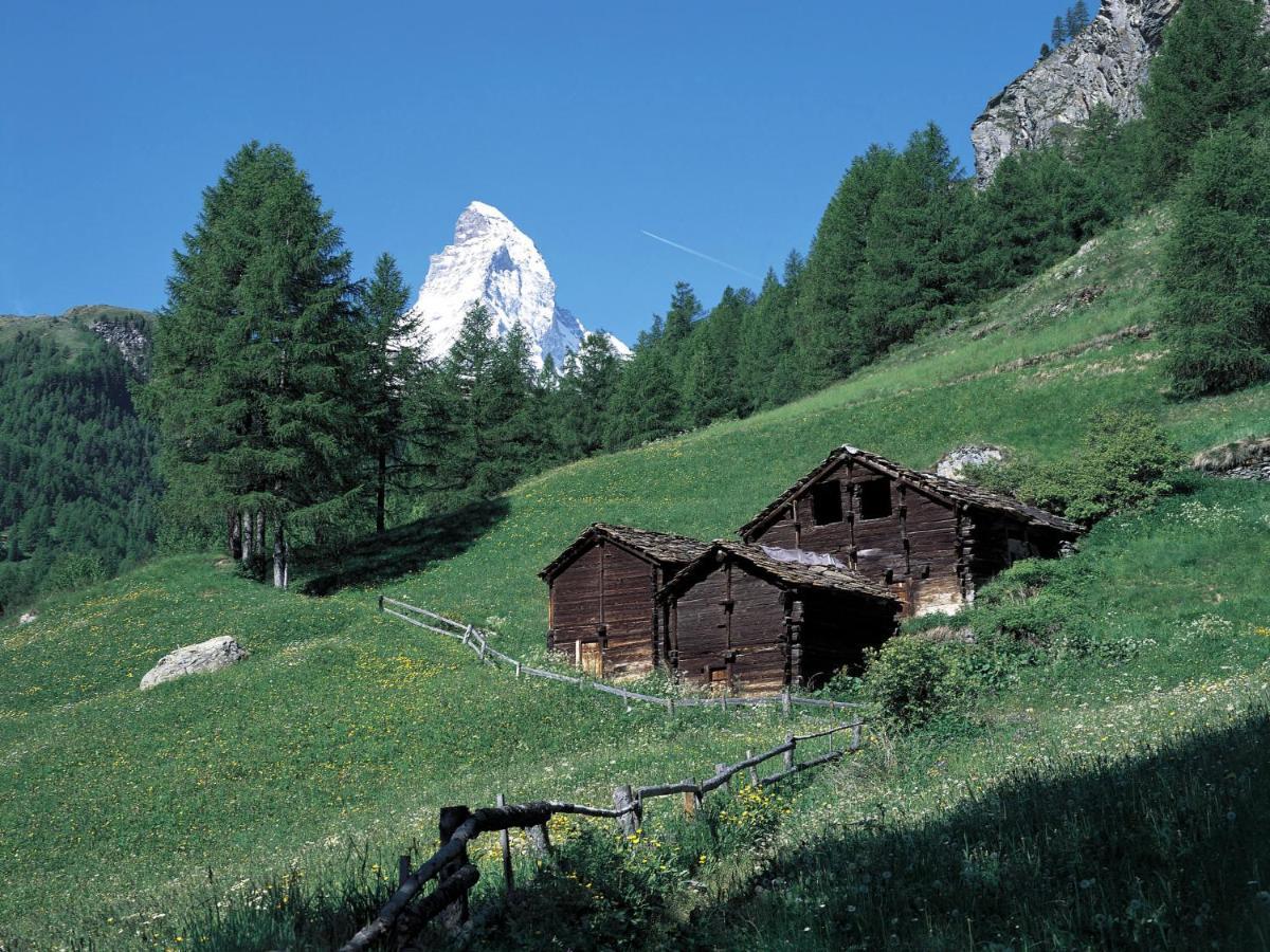 Apartment Alba By Interhome Zermatt Exteriér fotografie